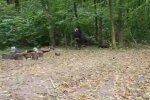 На Тернопольщине лесхоз опозорился на всю страну – поработали и оставили свалку