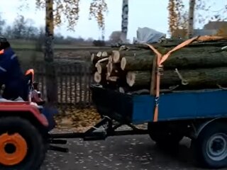 Дрова, скриншот с видео