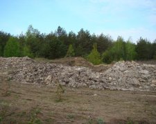 Гниют тысячи трупов: Киеву грозит экологическая катастрофа