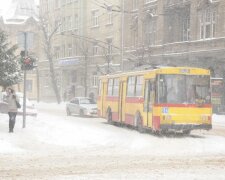 Во Львове киевский турист "поймал" головой кусок льда на свидании: вместо романтики