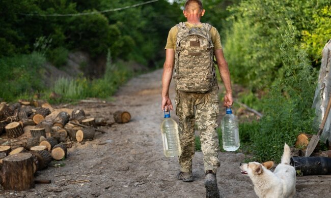 Тварини на Донбасі, фото з фейсбук