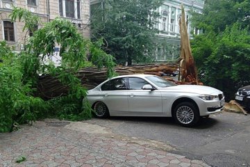 В Одессе из-за бури падают деревья и плавают машины (фото, видео)