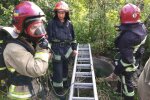 На Киевщине безпомощная кроха пережила второе рождение: трогательные кадры спасения