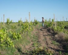 Винороба Лакарена звинувачують у рейдерстві