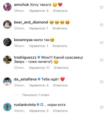 Комментарии / скриншот