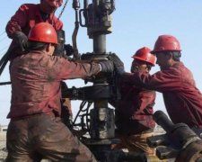 Ціни на нафту поповзли вгору на тлі заморожування видобутку