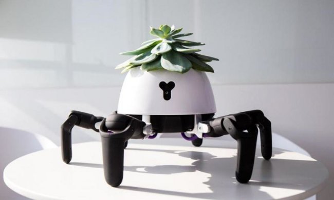 Створено робота-павука, який додасть мімішності у ваше життя