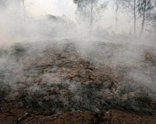 На Київщині лишилося 10 осередків тління торфу