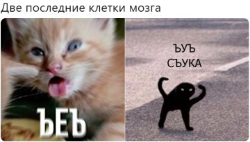 Мем, Memepedia