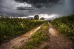 Погода в Україні, фото з pxhere