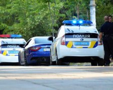 Копи подолали сотні кілометрів заради хабара