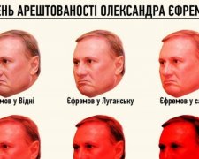 Українцям показали "шкалу арештованості" Єфремова