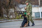 Закривавлений і босий: у Дніпрі посеред вулиці виявили труп 30-річного молодика