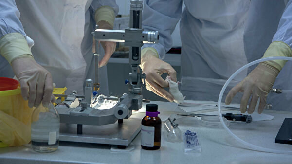 Більше ніяких дієт: лікарі відповіли на питання, що мучило багатьох українців