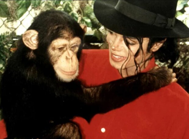 У Майкла Джексона был особенный друг - получил в наследство 2 миллиона