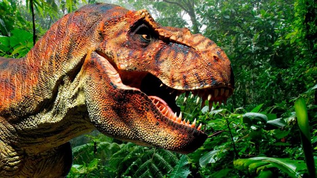 Вчені визначили, як виглядали хижаки-немовлята: тиранозаври виявилися няшками