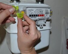 Газовый счетчик и пломба