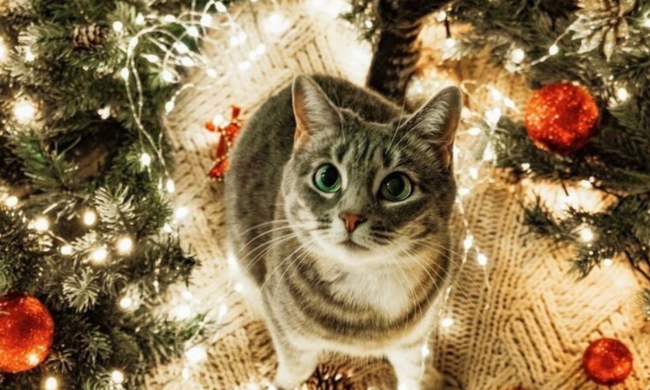 Гороскоп, изображение: Pinterest