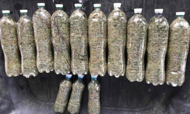 Харківські митники виявили авто, заправлене марихуаною