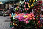 Поминальные дни в Украине: чем заменить искусственные цветы и помочь окружающей среде
