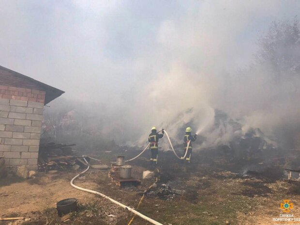 На Тернопольщине беспощадный огонь оставил коров без "постели"