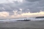 У Сочі двох дітей віднесло в море штормовою хвилею, скрін з відео
