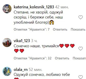 Комментарии под публикацией Кота Степана. Фото скрин с Instagram