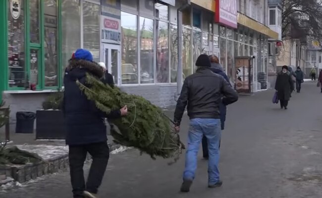 Ялинка. Фото: скрін youtube