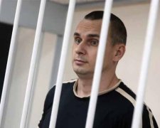 Защиту Сенцова обвинили в сговоре с Кремлем