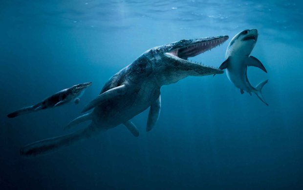 Мегалодон показался бы мальком: открытие гигантской  рыбы-убийцы поставило палеонтологов в тупик