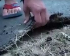 Привіт Укравтодору: житель Буковини відірвав рукою шматок асфальту