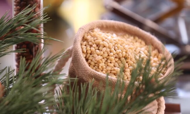 Кедрові горіхи, фото: Знай.ua