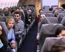 Невинне створіння вигнало з літака сотню пасажирів
