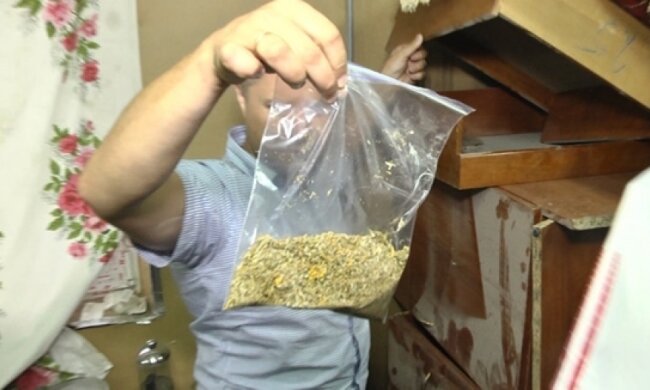 Полиция "накрыла" харьковский наркокомбинат (фото)