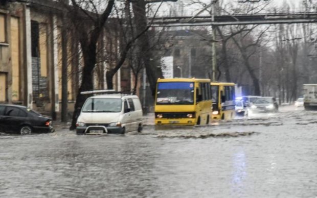 Пока Украину засыпает снегом, в Одессу пришла другая беда