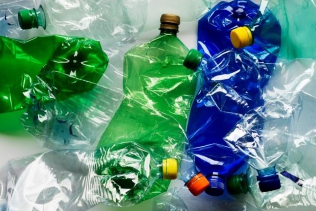 Бактерии будут питаться пластиковыми бутылками