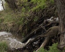 Ми це п'ємо: вінницький комунальник злив нечистоти в Південний Буг