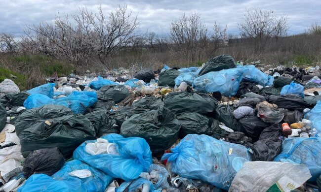 незаконне сміттєзвалище