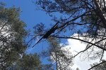 Повстання машин закінчилось - нарешті знайдений дрон-дезертир, через який закривали аеропорт