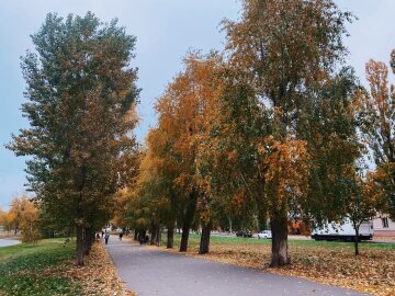 Киев, фото: Знай.ua