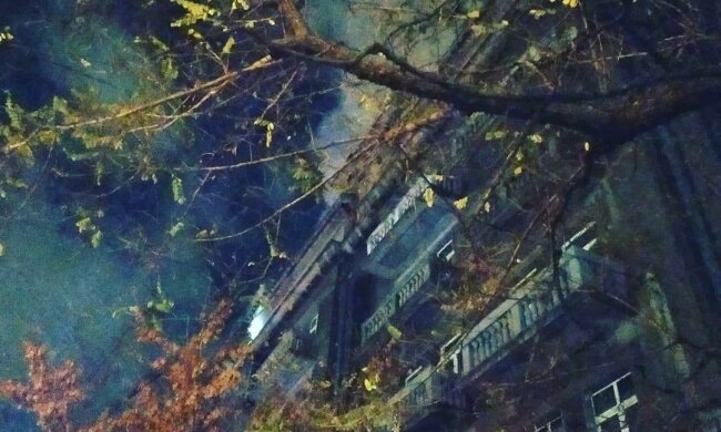 Украина лидирует по количеству пожаров в Европе: инфографика