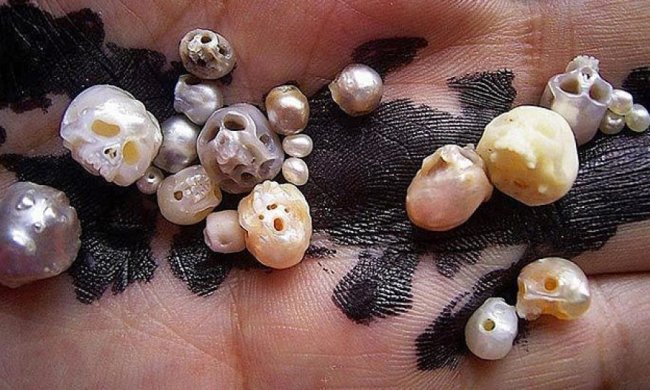 Японський різьбяр робить черепи із перлів (фото)