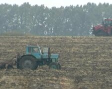 Ринок землі, фото: скріншот з відео