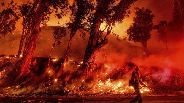 Романенко показал Зеленскому последствия пожаров в Австралии: "Не в Оман..."
