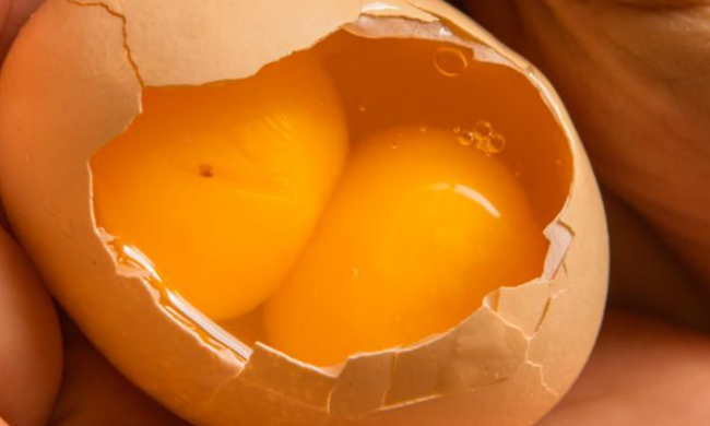 Яйцо с двумя желтками, кадр из видео