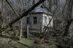 Величезні 4-х метрові нори та зірвана підлога: в покинутому будинку зони ЧАЕС виявили шокуючу знахідку
