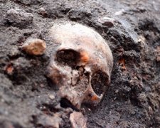 В Англії розкопають 3 тисячі загиблих від чуми