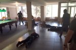 СБУ накрыла сходку криминальных "авторитетов" на Донетчине (ФОТО)