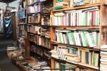 Книжковий, фото: скріншот з відео
