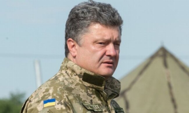 У Порошенко задерживают рассмотрение петиции про владение оружием